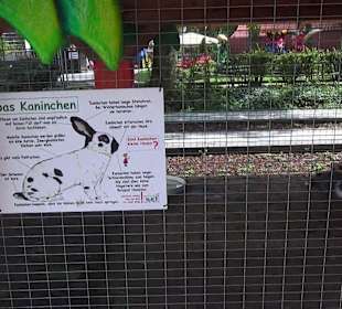 Kaninchen