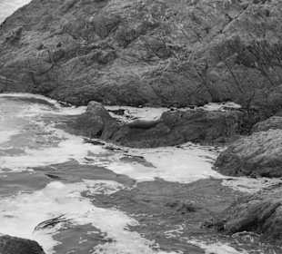 Big Sur