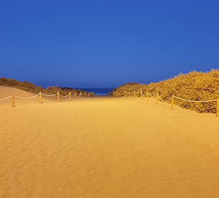 Dünen von Maspalomas