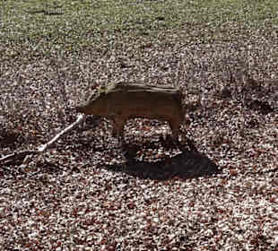 Naturerlebnispfad Meidelstetten