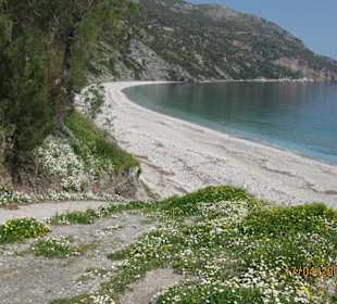 Der Weg zum Strand