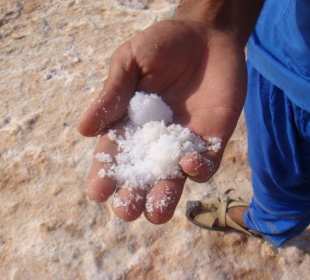 nene - kein schnee - SALZ