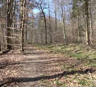 Geschichtlicher Lehrpfad Einsiedel