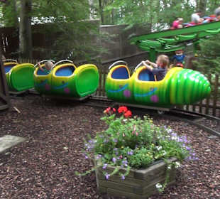Raupenbahn