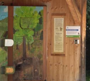 Premiumspazierweg Früchtetrauf-Leisawegle