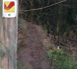 Pfälzer Weinsteig in Annweiler am Trifels