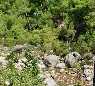 Und noch immer nicht da