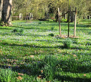 Rundgang über den Lindener Bergfriedhof