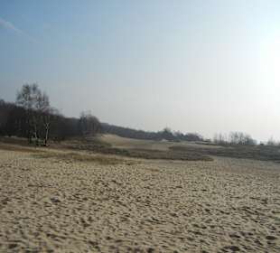 Wunderschöne Boberger Niederung
