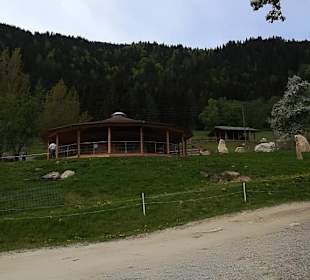 Alpen Wildpark Feld am See