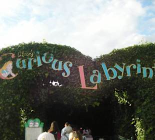 Alice nel paese delle meraviglie