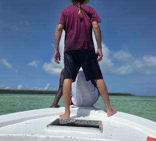 Lilly sucht nach Schildkröten😁