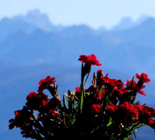 Blick vom Gitsch in die Ferne