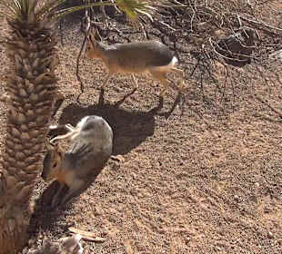 Guinitate Tropical Park