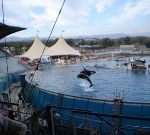 Marineland