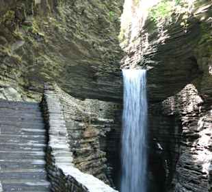 Watkins Glen