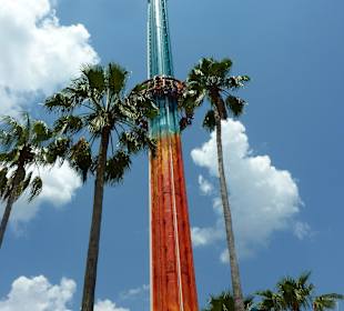 Kopfüber in die Tiefe