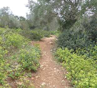 Naturpark Mondragon Fussweg