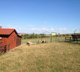Auch Tiere für die Kinder zur Kurzweil