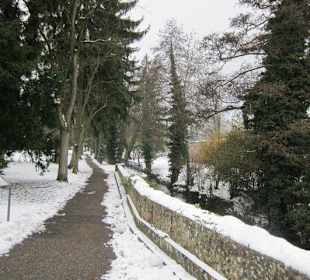 Altstadt Wissembourg im Winter