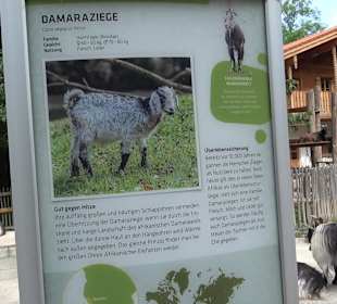 Tierpark Hellabrunn