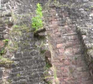 Burgruine Sterneck