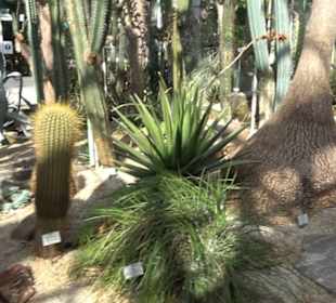 Gewächshäuser Botanischer Garten