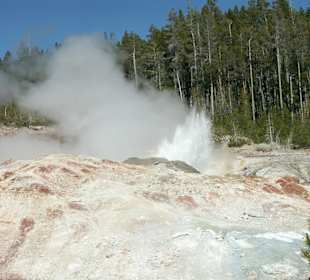 Gayser im Yellowstone