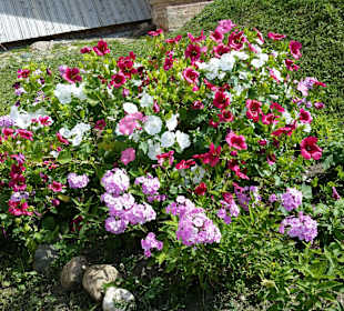 Goritsy Kirill-Boleserski-Kloster