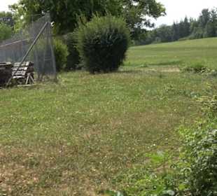 Tennisplatz Kuppingen 