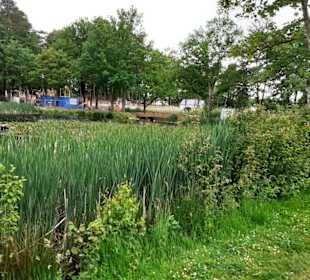 Seewoog in Ramstein-Miesenbach