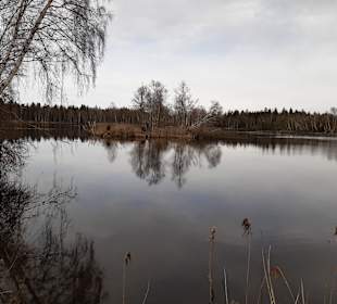 Pfrunger-Burgweiler Ried