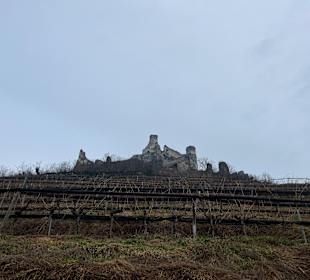 Burgruine Senftenberg