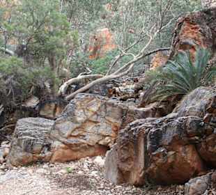 Der Weg zum Canyon