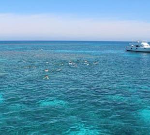 Delfinschwimmen Hurghada-Morgenland Reisen Ausflüg