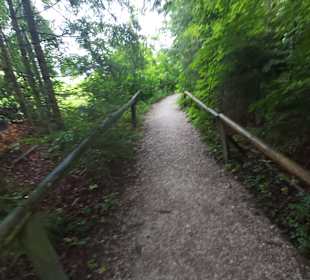 Wandern Fuschl am See