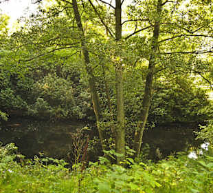 Кладбище Ольсдорф, Гамбург, 16 сентября 2013 года