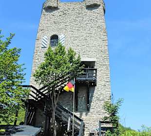 Burg Laurenburg Eingang