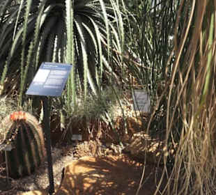 Botanischer Garten der Universität Zürich