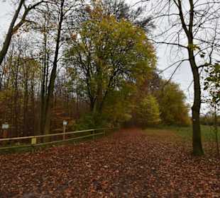 Felsenmeer