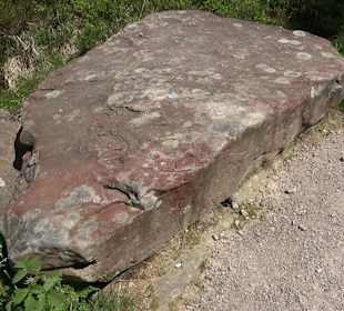 Wandergebiet Ruhestein