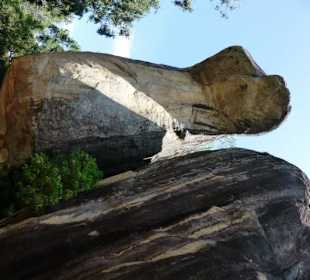 Cobrafelsen Sirigirya