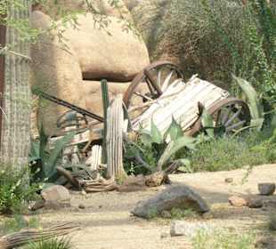 Burgers Zoo - Desert