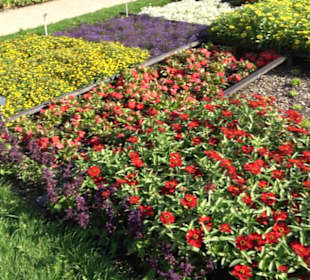 Botanischer Garten München