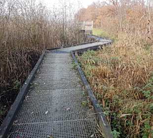 Durchgang durch das Schilf