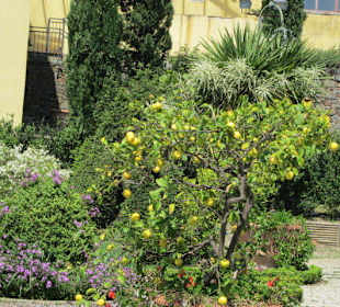 Garten und Villa Garzoni in Collodi