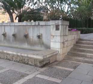 Königsgarten S'Hort del Rei