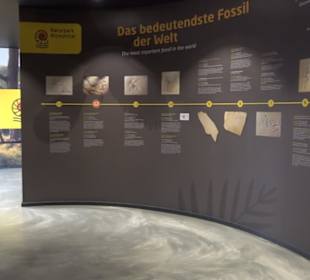 Dinosaurier Museum Altmühltal