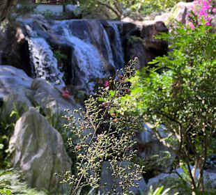Impressionen aus dem chinesischen Garten