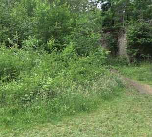 Wanderweg - Alter Steinbruch Pfaffenberg Runde